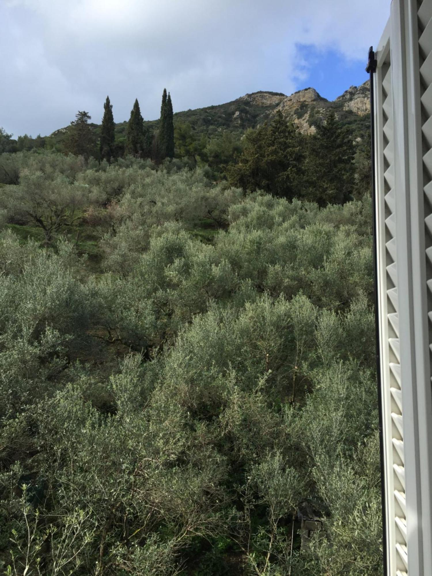 Belvedere Zakynthos Studios Vasilikí Pokoj fotografie