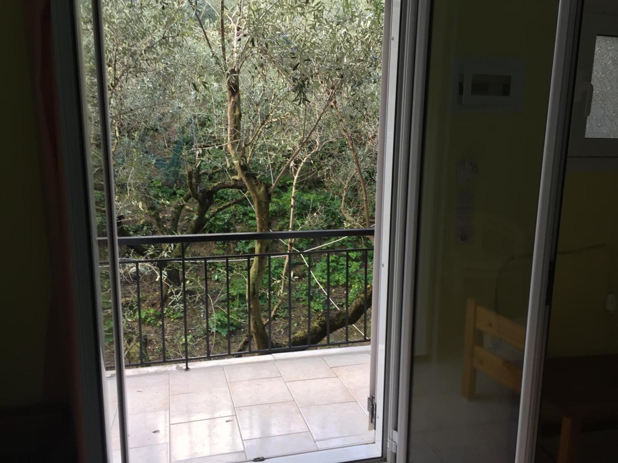 Belvedere Zakynthos Studios Vasilikí Pokoj fotografie