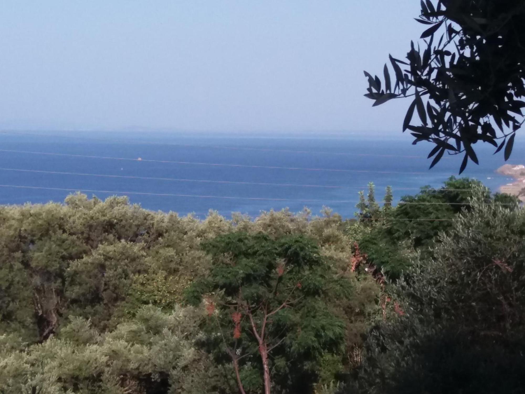 Belvedere Zakynthos Studios Vasilikí Pokoj fotografie
