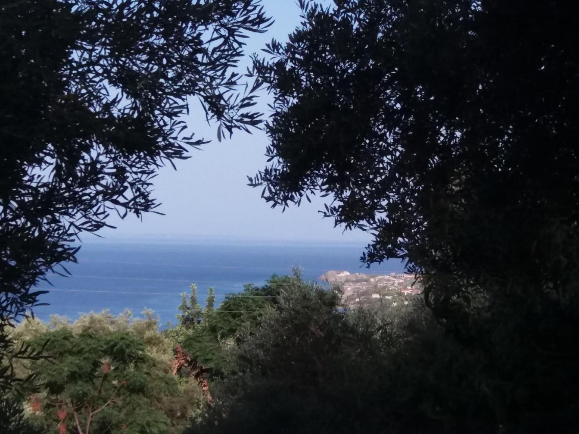 Belvedere Zakynthos Studios Vasilikí Pokoj fotografie