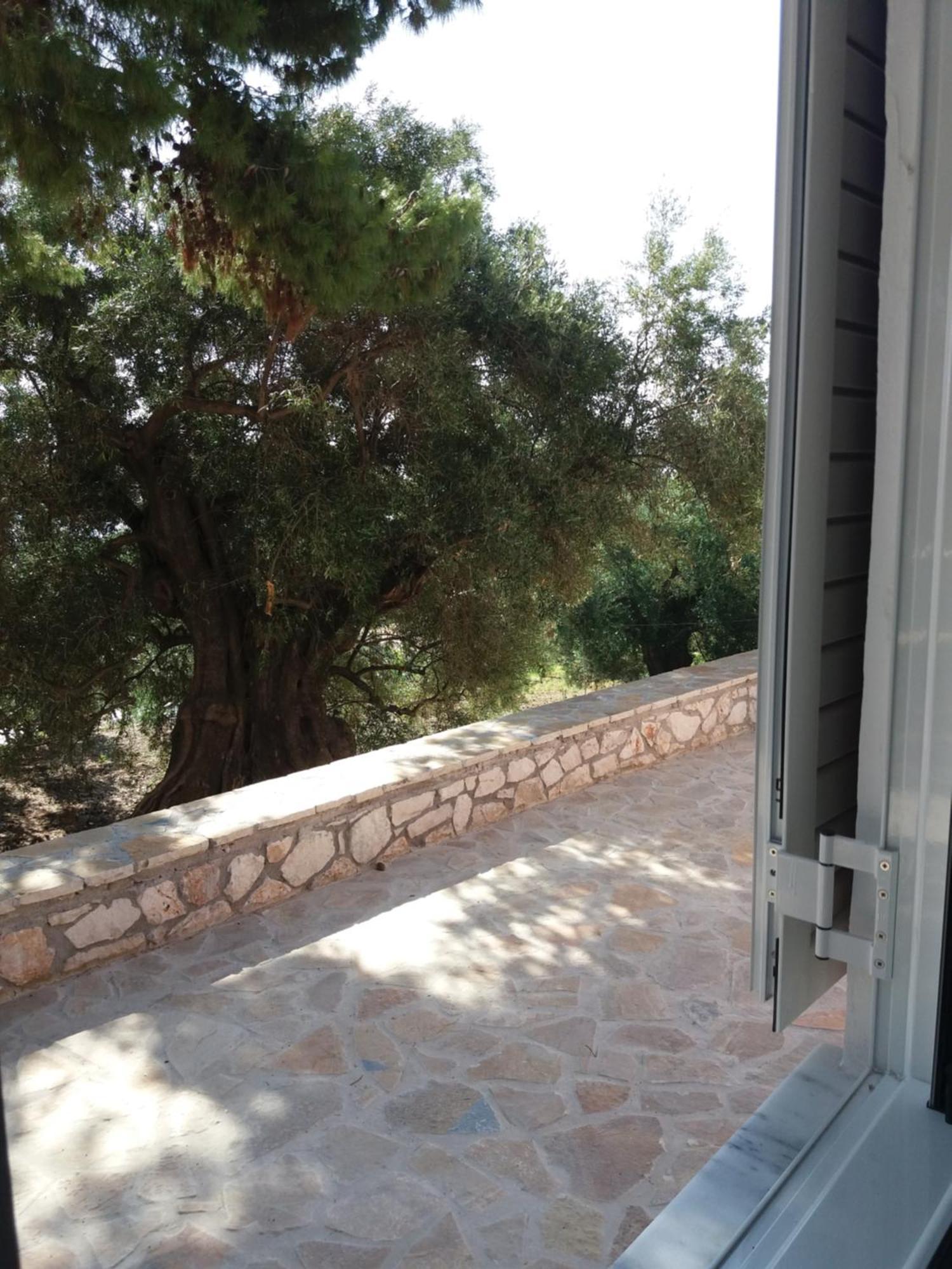 Belvedere Zakynthos Studios Vasilikí Pokoj fotografie