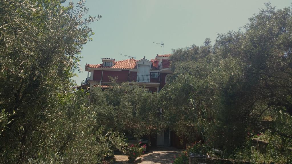 Belvedere Zakynthos Studios Vasilikí Exteriér fotografie